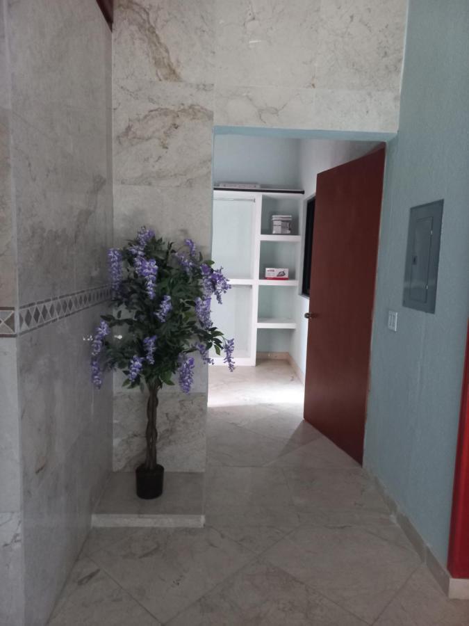 Апартаменты Departamento Tayde Сан-Хосе-дель-Кабо Экстерьер фото